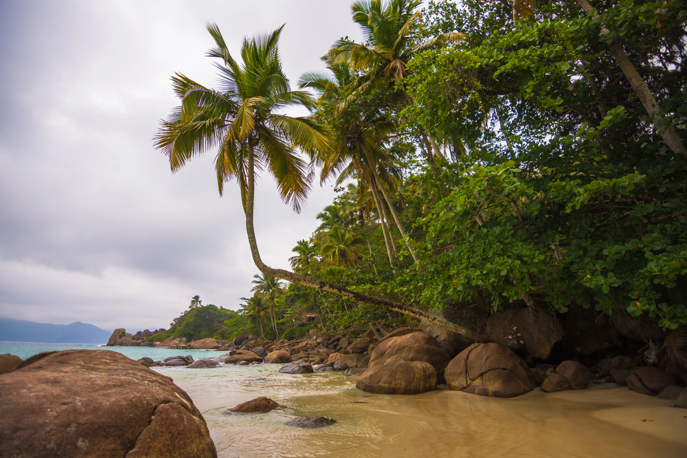 transfers จาก Ilha Grande